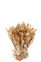 Bouquet Fleurs Séchées J-Line 32999-2.webp