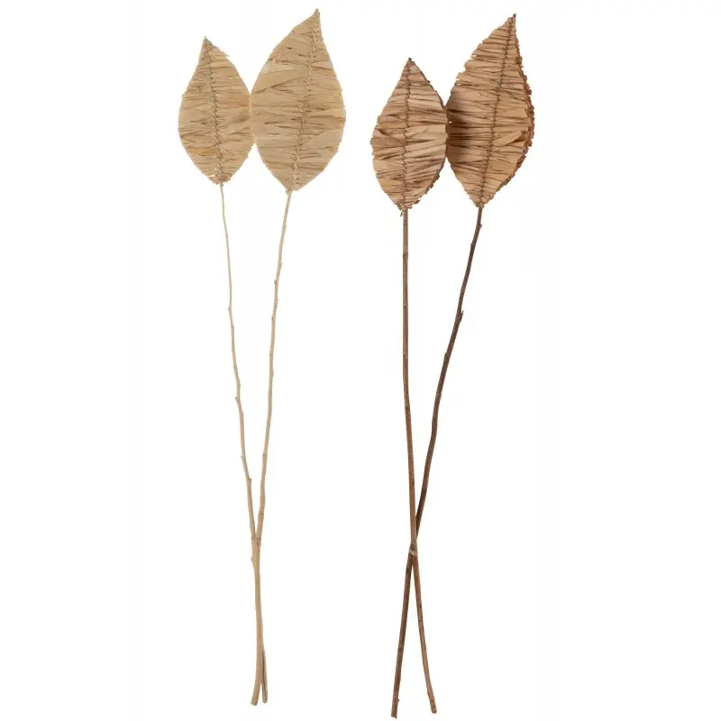 Feuilles brins de maïs séchés J-Line (1)
