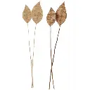 Feuilles brins de maïs séchés J-Line